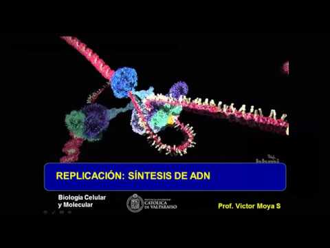 Clase Replicación