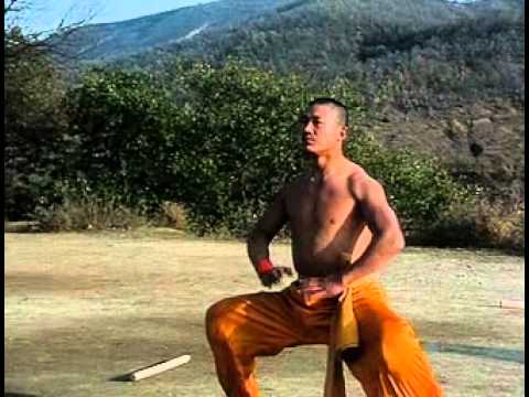 Shaolin Warrior Training