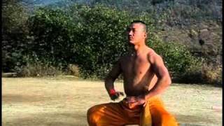 Shaolin warrior training Shaolin warrior training