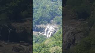 Munnar hidden waterfalls  Mystic Nature  nature munnar kerala india travel waterfall shorts