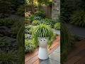 DIY Funny Face Planter | Adorable Spider Plant Pot Idea 🌿✨