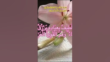 تلاوة قصيرة تهز القلوب 💛#القرآن_الكريم