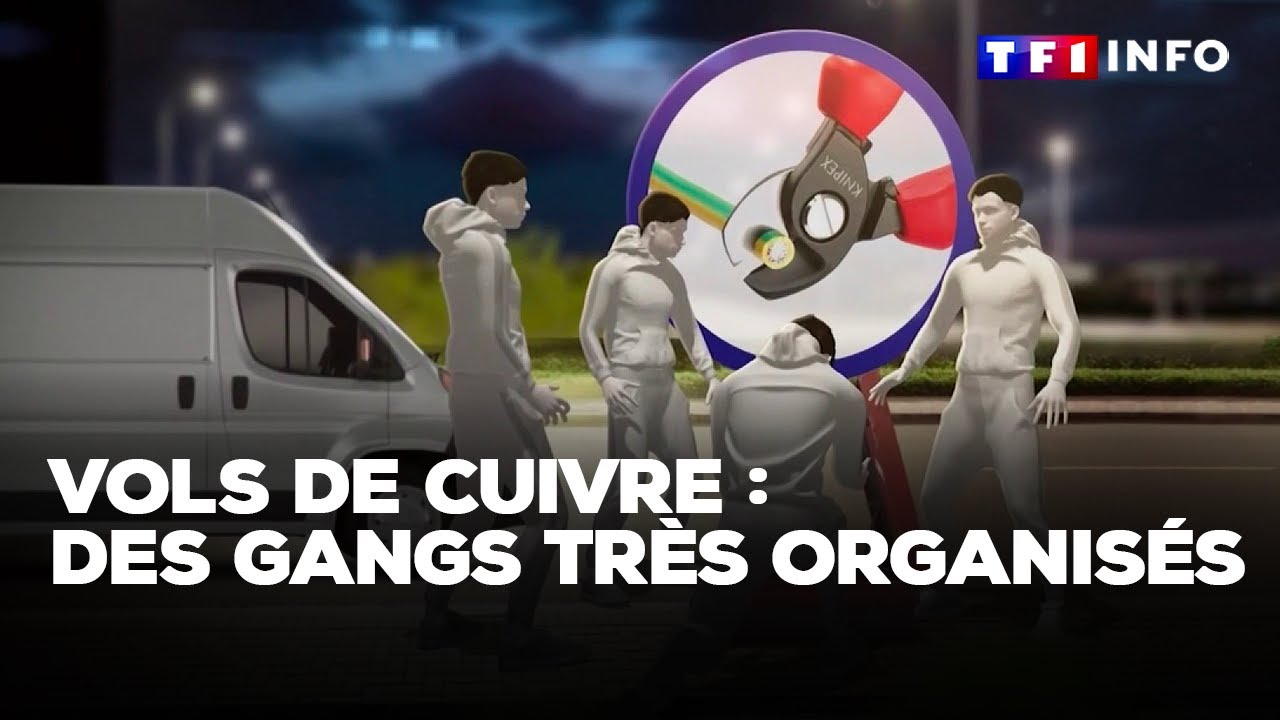 Vols de cuivre : des gangs très organisés｜TF1 INFO