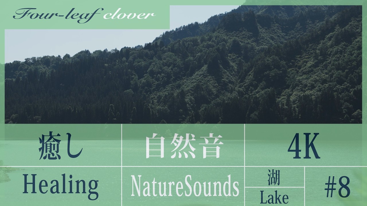 4K】 癒しの湖の音 #8 | Relaxing Lake Sounds - YouTube