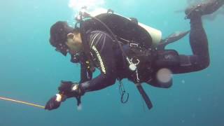 Scuba Diving In Strong Currents | DSMB Deployed And It Went Horizontal - 90 degrees!