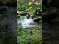 ✨️ Healing Water Yoga for the Soul ♥️🙏✨️ #nature #shanti #hiking #mountains #bergen #water #flowers