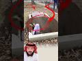 مشهد غير مألوف في وضح النهار قبر يهتز بهدوء تراب يرتفع وكفن يظهر وسط ذهول الجميع Shortvideo 