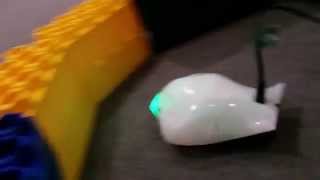 Famous First CPL MakerLab Finch Test Net Worth