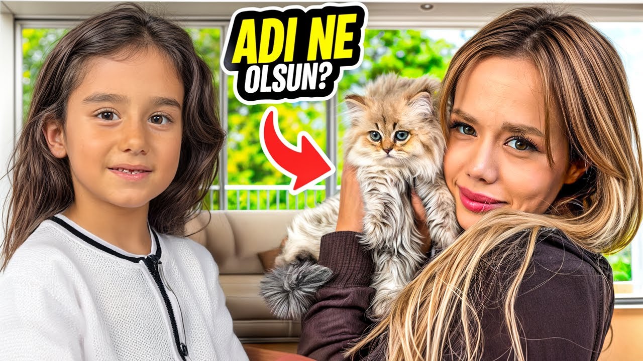 YENİ KEDİ SAHİPLENDİK ! ADI NE OLSUN !? | Gamze Karta