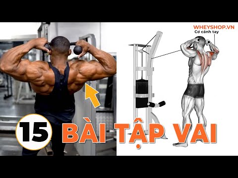 Video 30 Bài Tập Vai Siêu To Khổng Lồ Cho Dân Tập Gym (Phần... - youtube