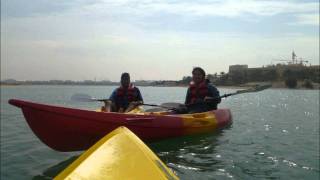 Dil Tadap Tadap Ke madhumathi On Harmonicamouth Organ By Natraj  Anniversary