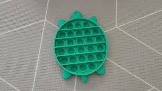 Turtle Push Pop Bubble Fidget