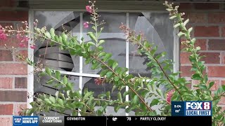 Raceland mother hospitalized after trying to save her four children from house fire