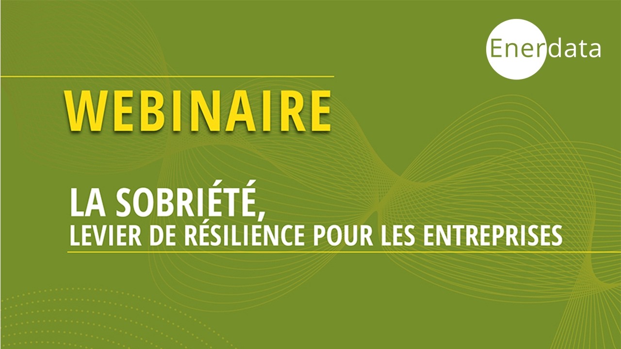 Webinaire - La sobriété, levier de résilience pour les entreprises