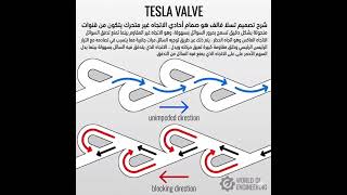 Tesla Valve and How It Works