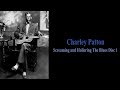 Capture de la vidéo Charley Patton - Screamin' And Hollerin' The Blues (Disc 1)