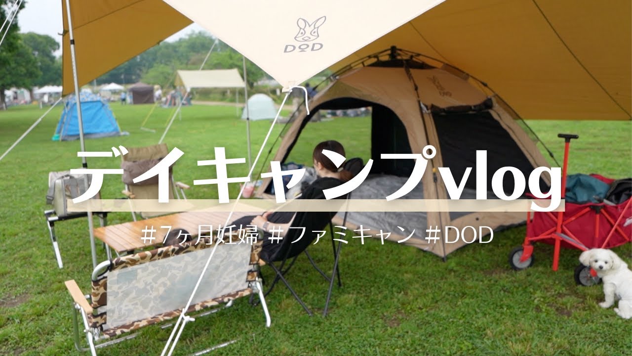 デイキャンプ】出産前のファミキャン🏕｜DODチーズタープ＆わがやの