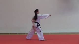 Download Lagu Sambo matsogi - samostatně ; Three step sparring - individual MP3