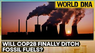 COP28 Summit: Will countries agree to quit all fossil fuels | WION WORLD DNA
