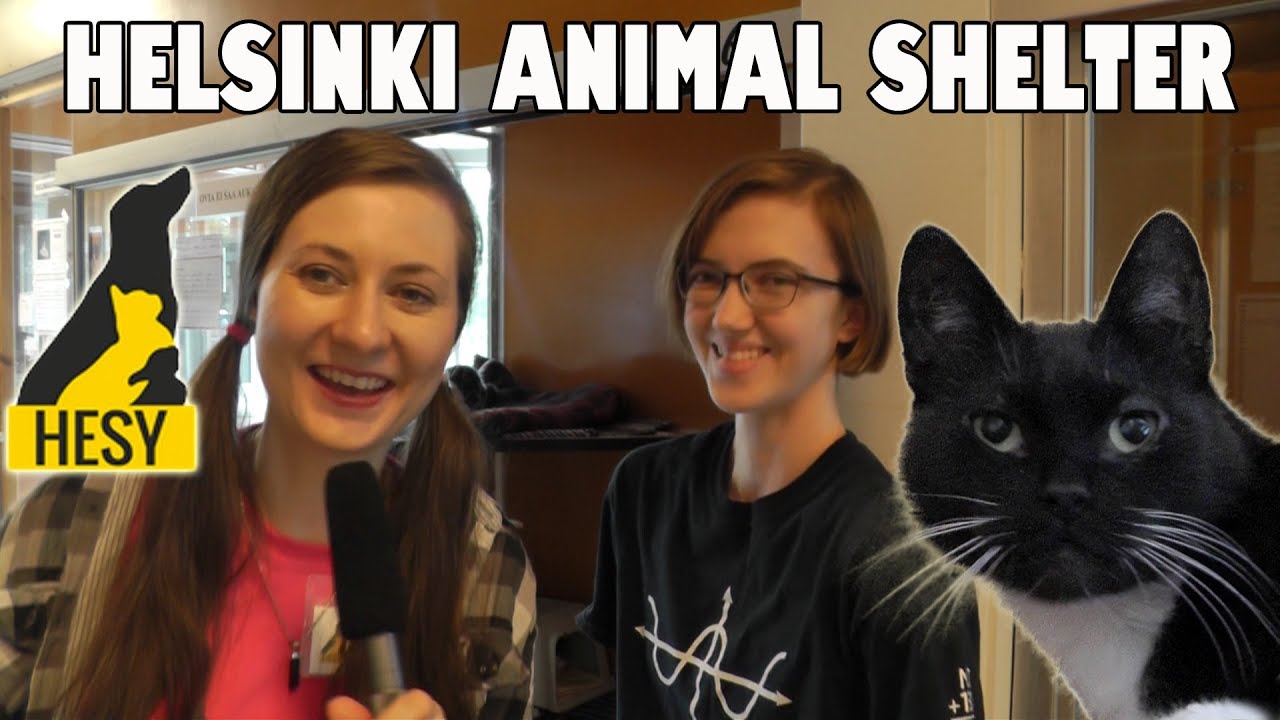 Helsinki Animal Shelter (HESY)