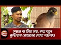 ময়না বা টিয়া নয়, কথা বলে কুষ্টিয়ার রোহানের পোষা শালিকও