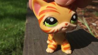 5 Things You Need To Be An Lpstuber