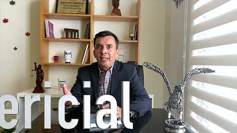 Perito y peritaje