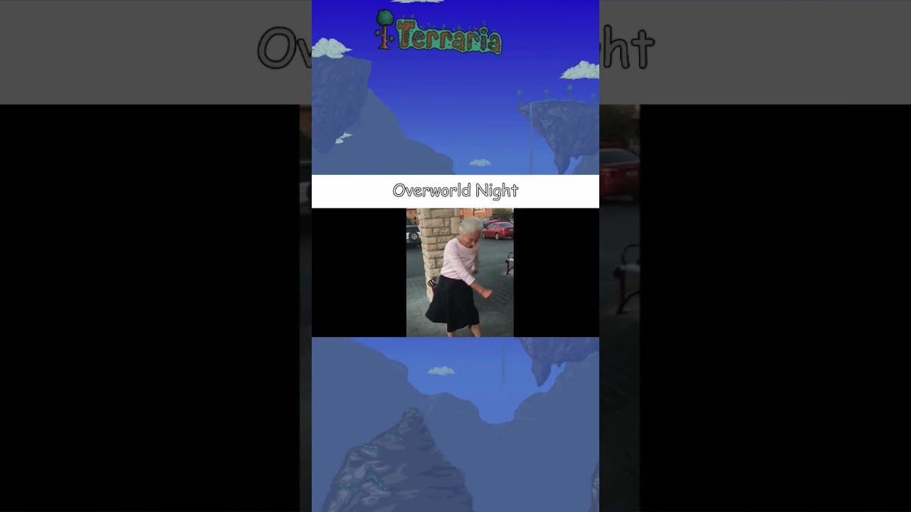 Terraria Overworld Night be like 