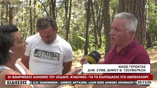 ΟΙ ΦΘΑΡΜΕΝΕΣ ΚΟΛΩΝΕΣ ΤΟΥ ΔΕΔΔΗΕ «ΚΙΝΔΥΝΟΣ» ΓΙΑ ΤΟ ΕΛΑΤΟΔΑΣΟΣ ΣΤΟ ΑΜΠΕΛΟΧΩΡΙ