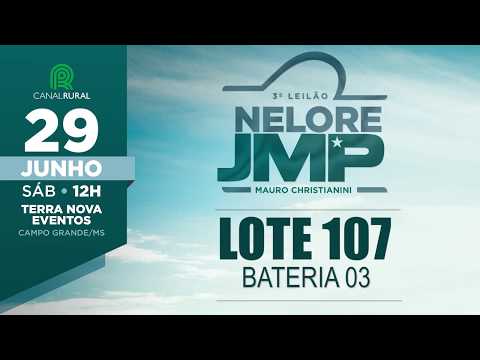 LOTE 107
