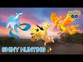 ✨️Shiny Galarian Bird Hunting | Raids , PvP , Battles with friends | Pokemon Go Live