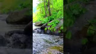 Water Shower Sound Effect  Relaxing Hd  Channel Meditation Shorts