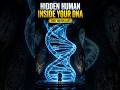 The Humans Still Inside Us.