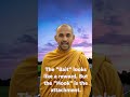 BHADRĀVUDHA-MĀṆAVA-PUCCHĀ | SUTTA NIPĀTA 5.12 | PĀRĀYANAVAGGA | THE QUESTIONS OF BHADRĀVUDHA #shorts