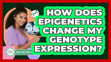 How Does Epigenetics Change My Genotype Expression? - Genetic Wellness for Families