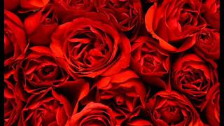 Ferman Akdeni̇z Dayanamam