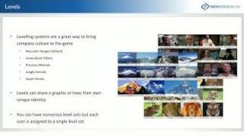 Using Salesforce Gamification to Improve Sales Performance
