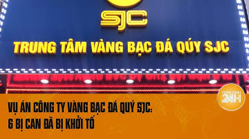 Vụ án Công ty SJC: 6 bị can đã bị khởi tố  | Toàn cảnh 24h