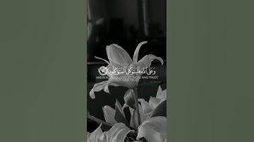 ﴿ وما لنا ألا نتوكل على الله وقد هدانا سبلنا ولنصبرن على ما آذيتمونا وعلى الله﴾ #سورة_إبراهيم  12