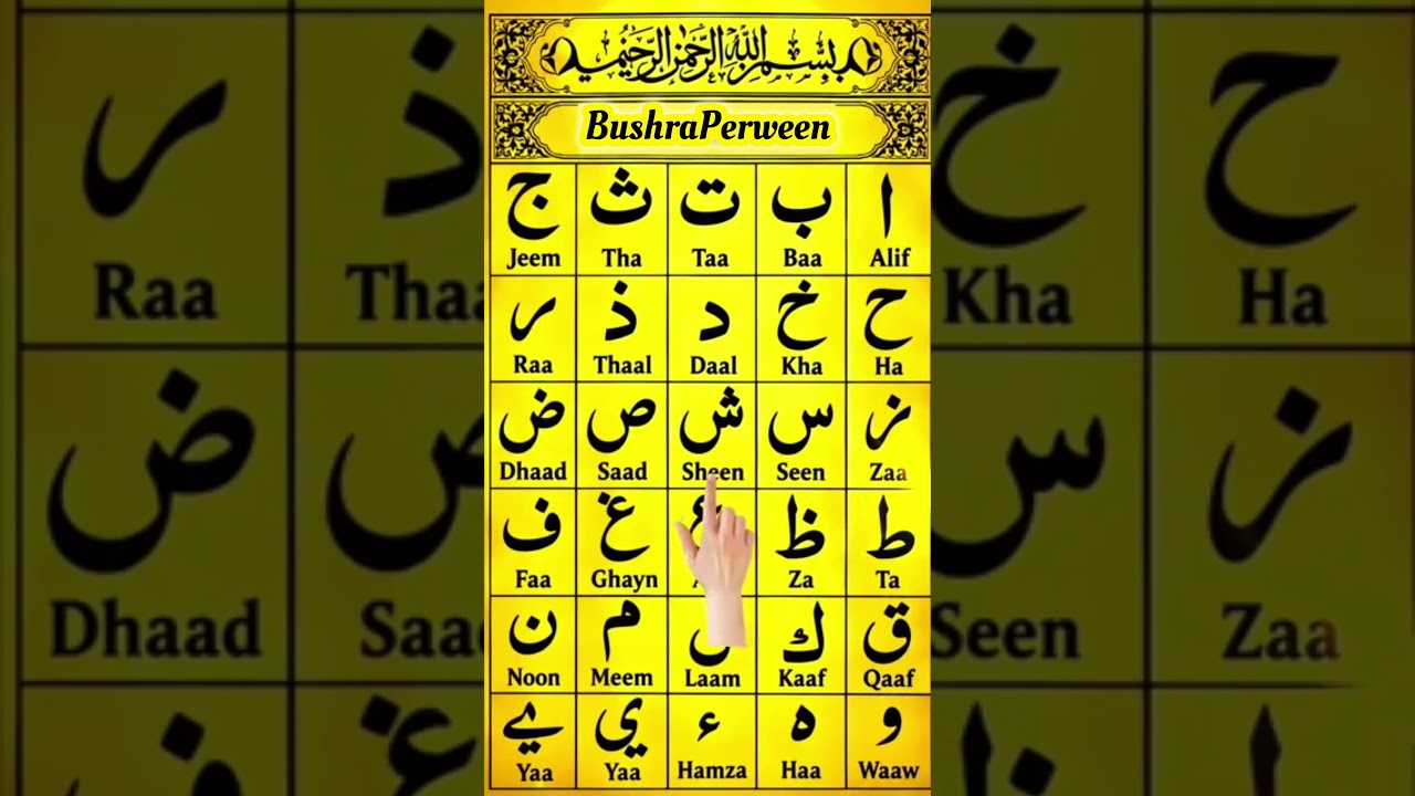 Arabic Letters Alifun Baa taaun saa | Beautiful Recitation of Arabic Letters #madniqaida​ #shorts​