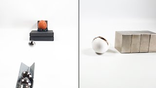 Eggs VS Magnets