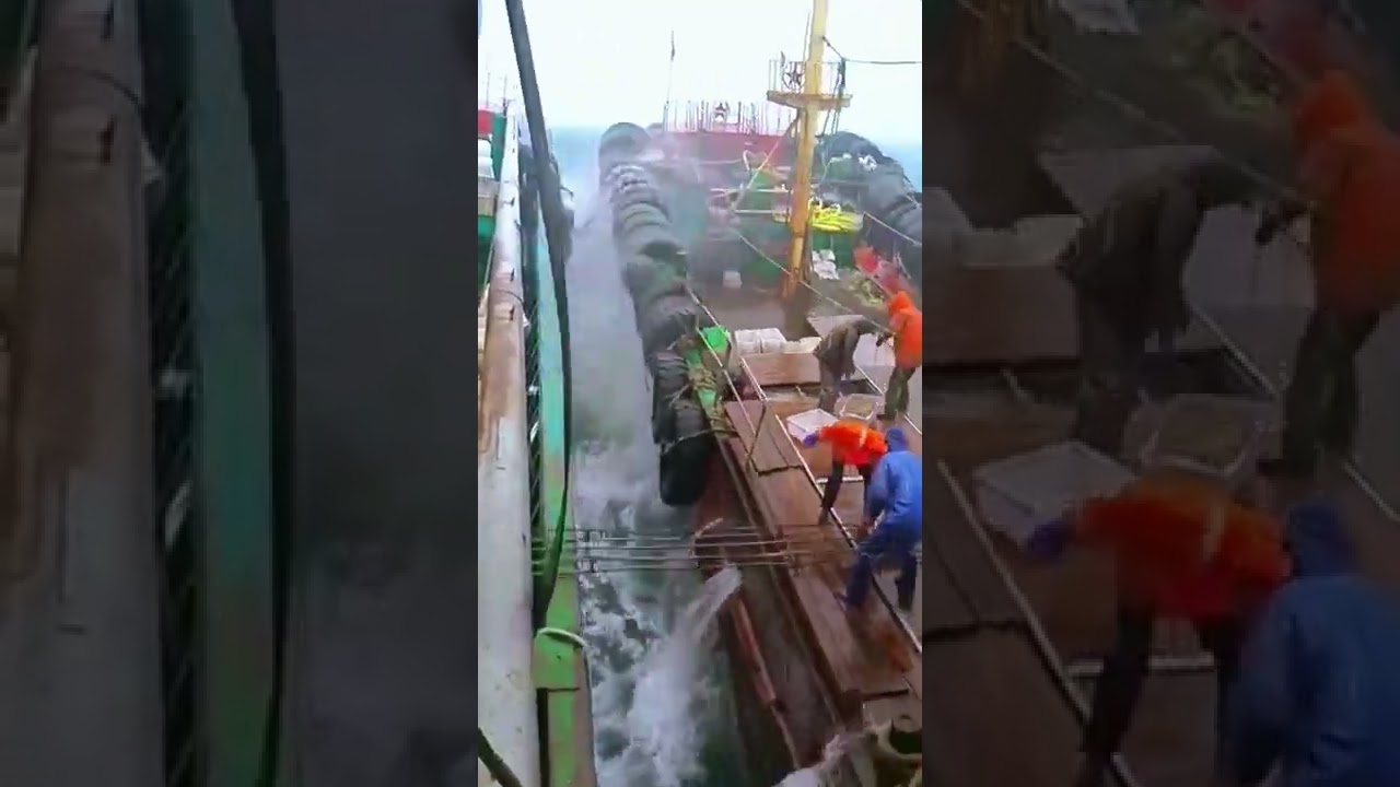 Sea transport ship daily- Good tools and machinery make work easy