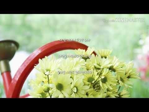 럼블 피쉬 여우야