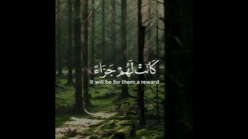 اروع تلاوة القران الكريم ب صوت القارئ عمر الدريويز سورة الفرقان آجمل حالات واتس اب قرآنيه