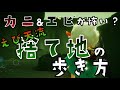 Sky 星を紡ぐ子どもたち 新規さん向け 捨てられた地の歩き方!