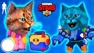 ОТ НУБА ДО ПРО В БРАВЛ СТАРС ЛЕОН И БРОК BRAWL STARS ВЕСЁЛЫЙ КОТ И КОТЁНОК ЛАЙК