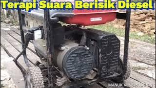 TERAPI BURUNG MACET BUNYI SUARA BERISIK DIESEL@manukalaspasaran5202