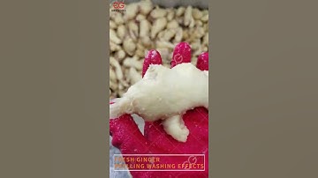 How Do You Extract Juice From Ginger? Ginger Juice Extractor Machine Philippines
