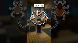 Day 63 of Redstone Basics - Tick Phases