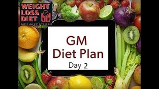 GM Diet Day 2 screenshot 2